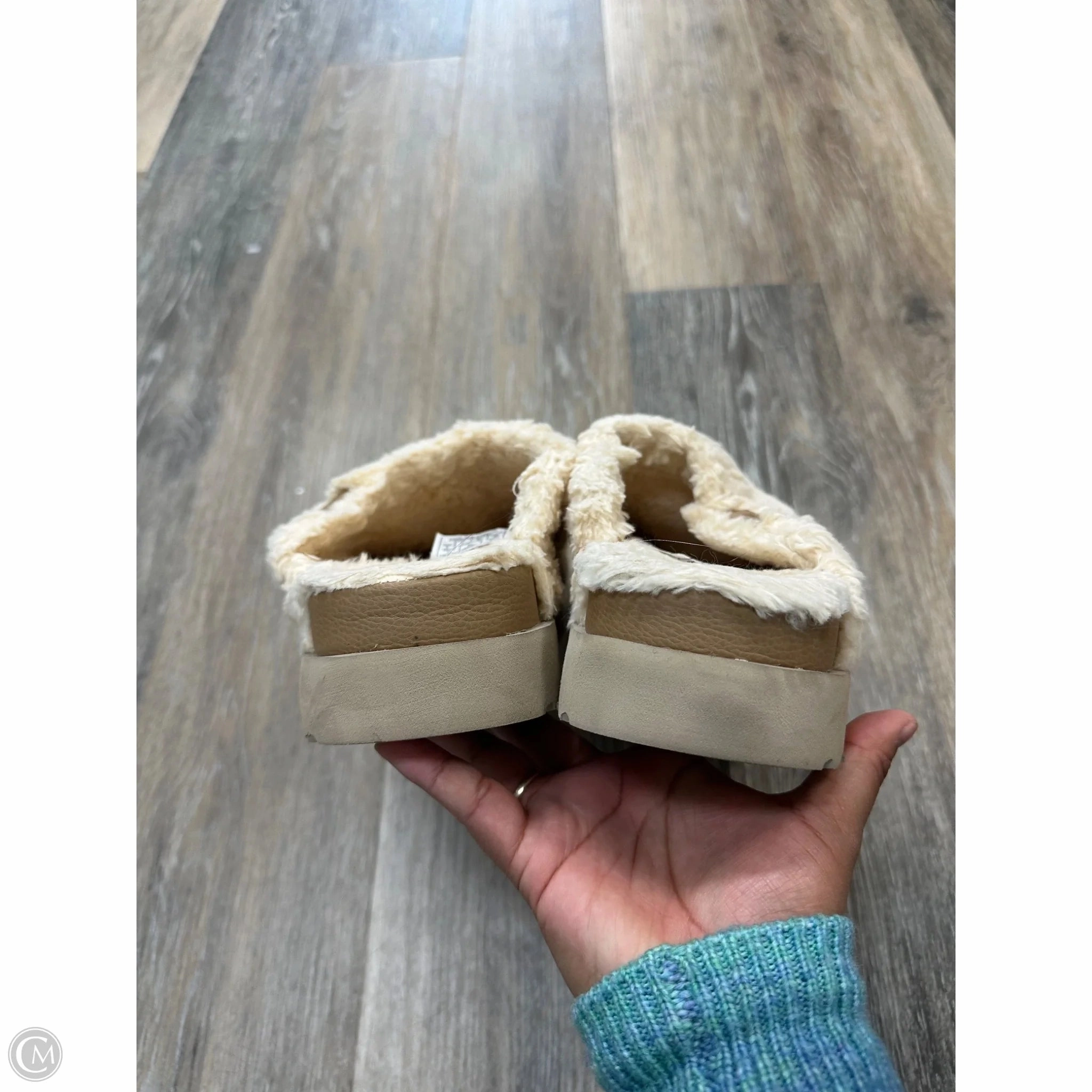 Pointe Shoes Vs Ballet Slippers Slippers By Ugg In Cream