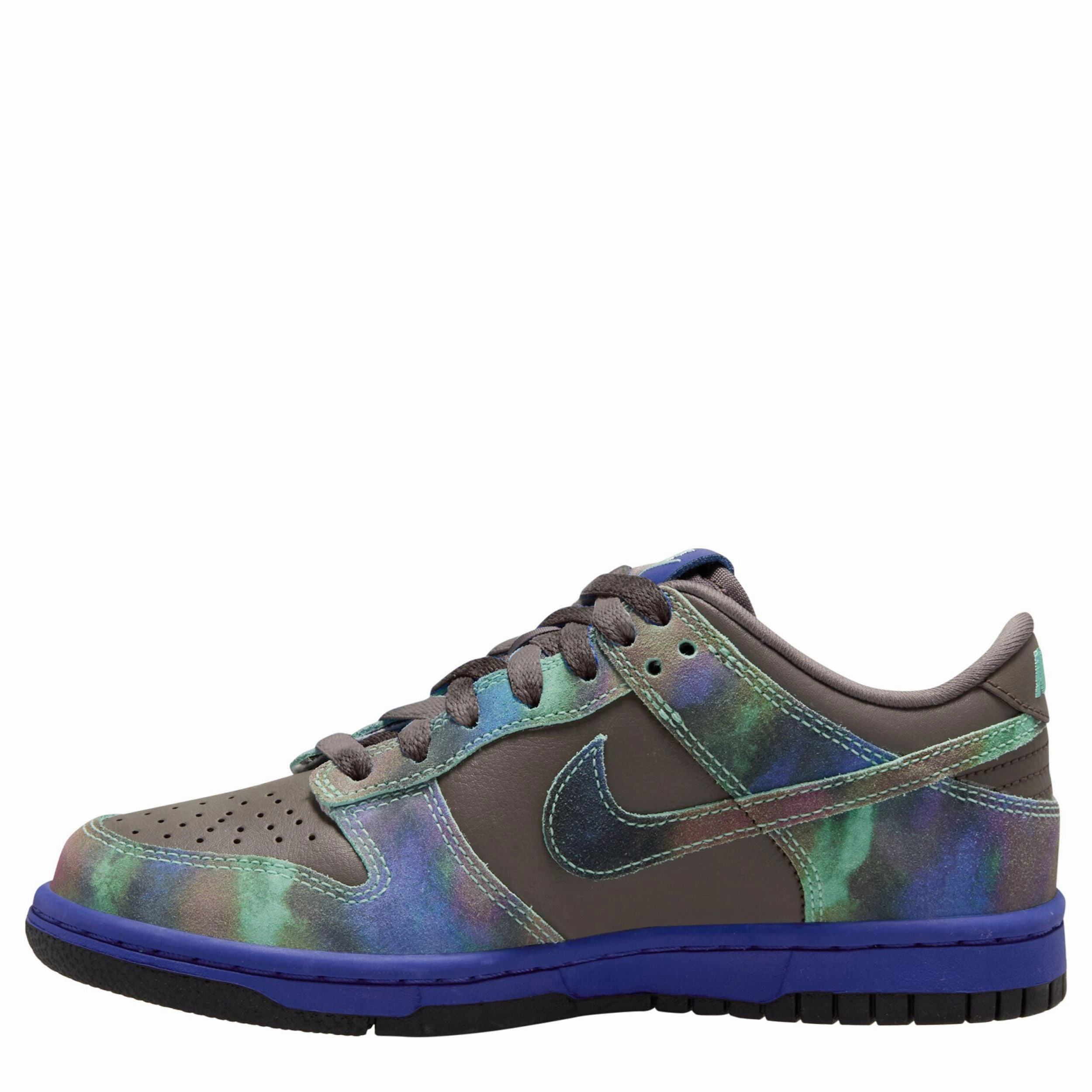 Dunk Low (Big Kid) Sneakers Collection