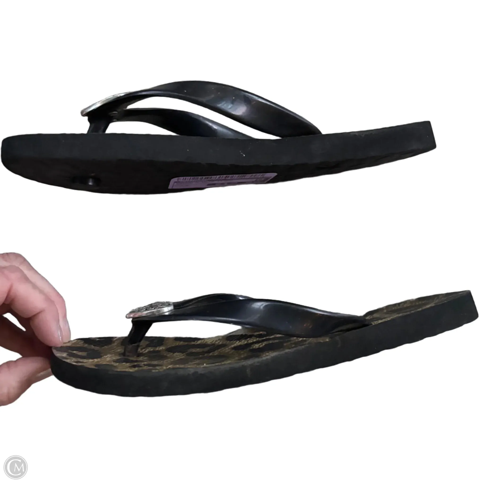 Sandals Flip Flops By Brighton In Animal Print, Size: 5 Zero Drop Flip Flops