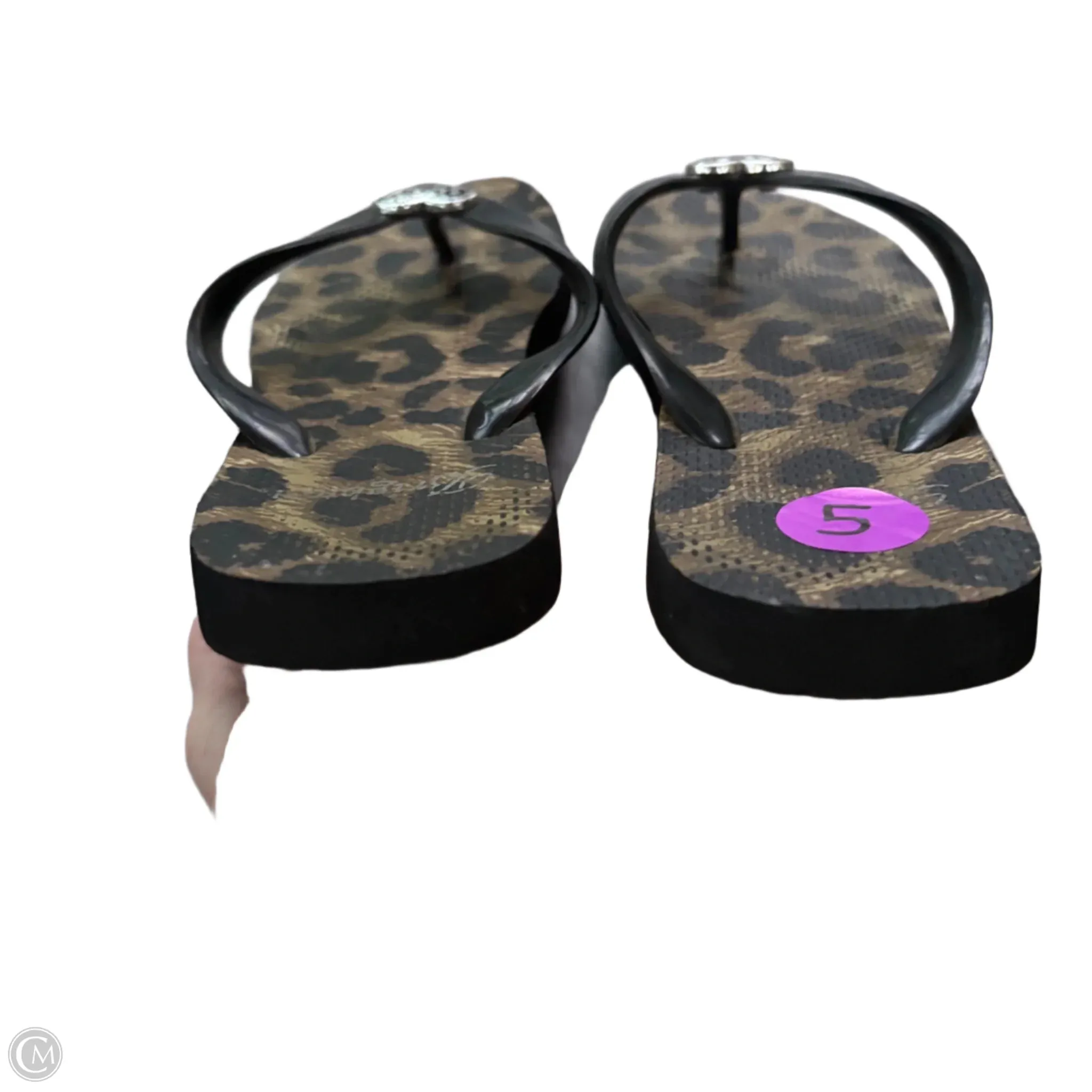 Sandals Flip Flops By Brighton In Animal Print, Size: 5 Rave Flip Flops