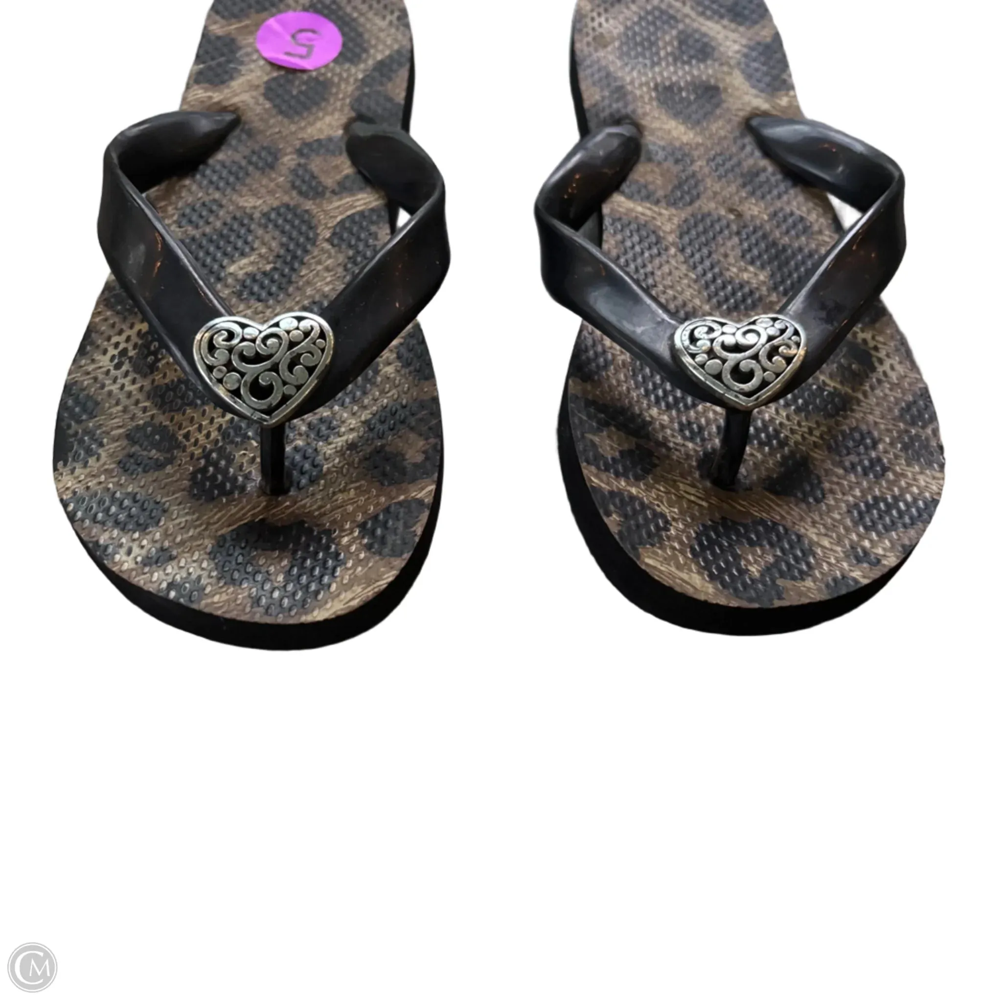 Sandals Flip Flops By Brighton In Animal Print, Size: 5 Sporto Flip Flops