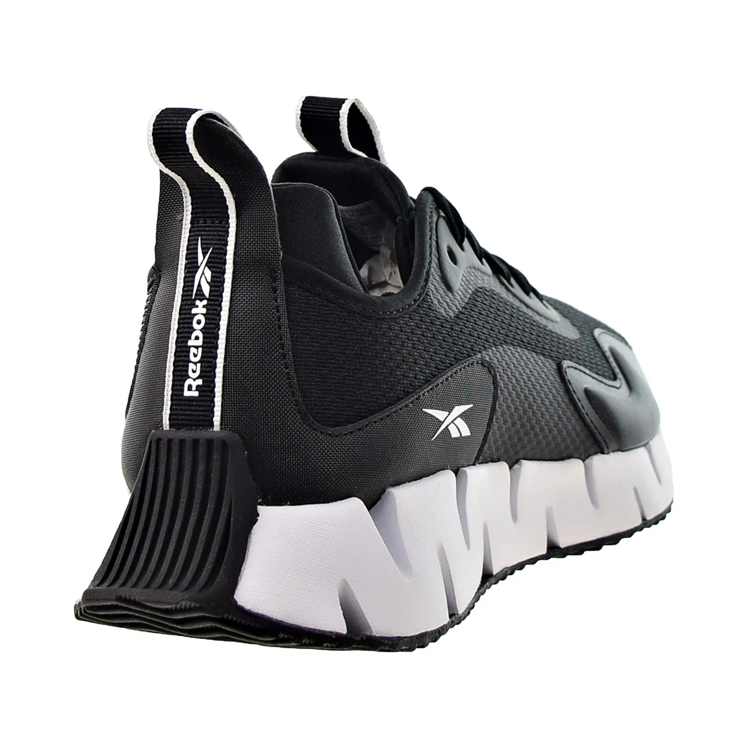 Trail Running Shoes Gore-tex Reebok Zig Dynamica INT Men's Shoes Black-White