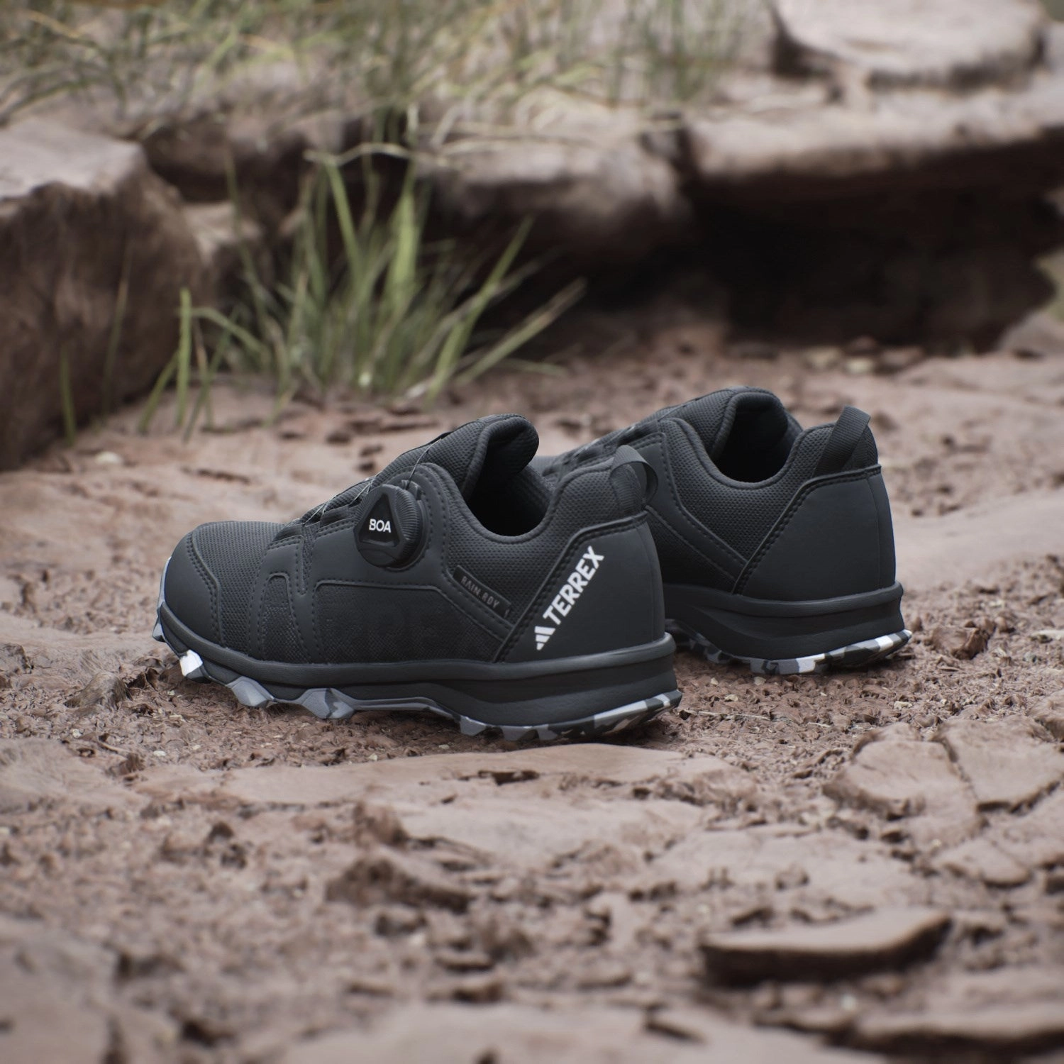 adidas Originals Core Black/Ftwr White/Grey Three Terrex Agravic Boa R.Rdy K Shoe Adidas Samba Cheetah Shoes