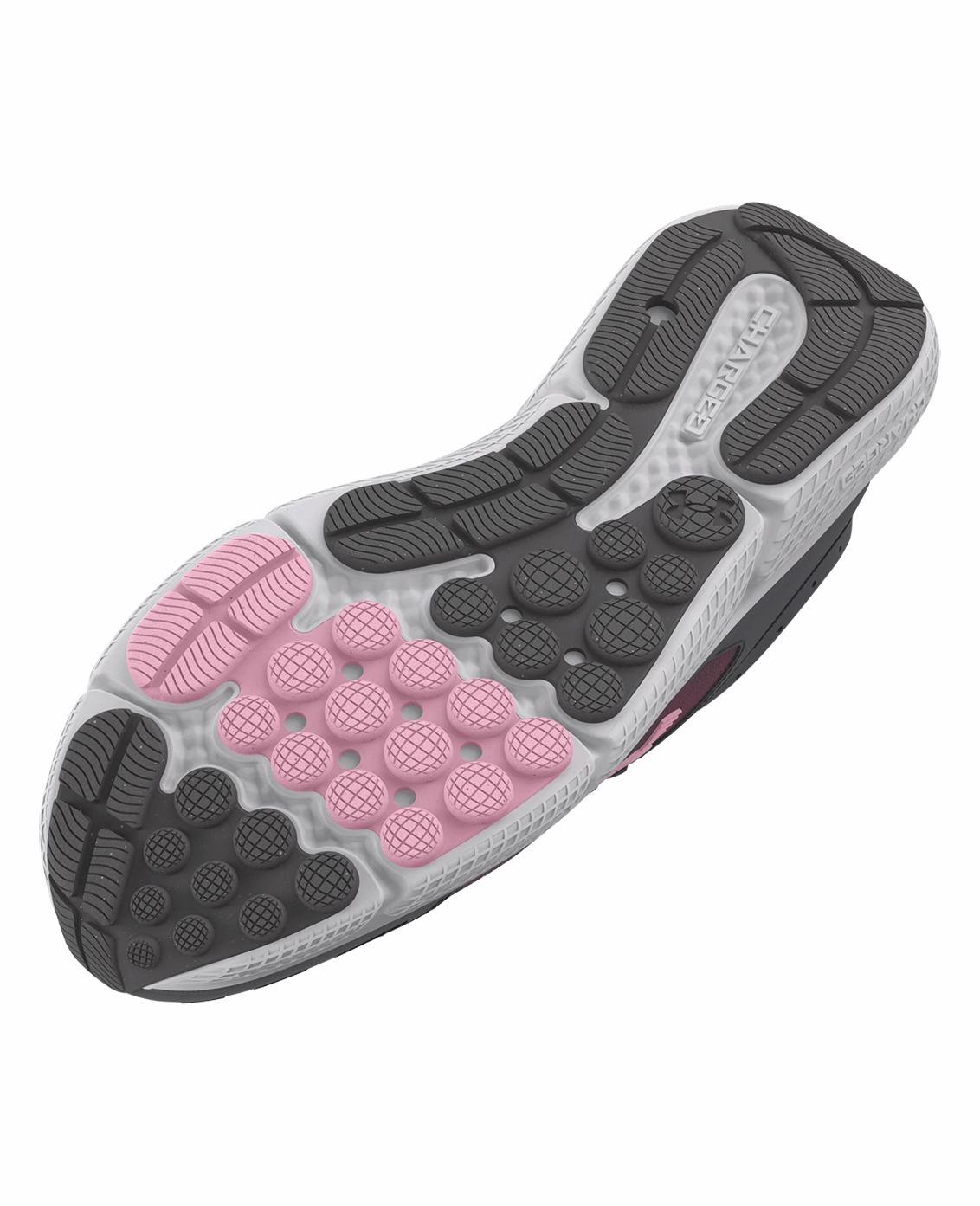 Running Shoes With Flowers UA Charged Assert 10 Women's Running Shoes